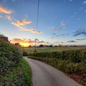 Coxheath country lane at sunset